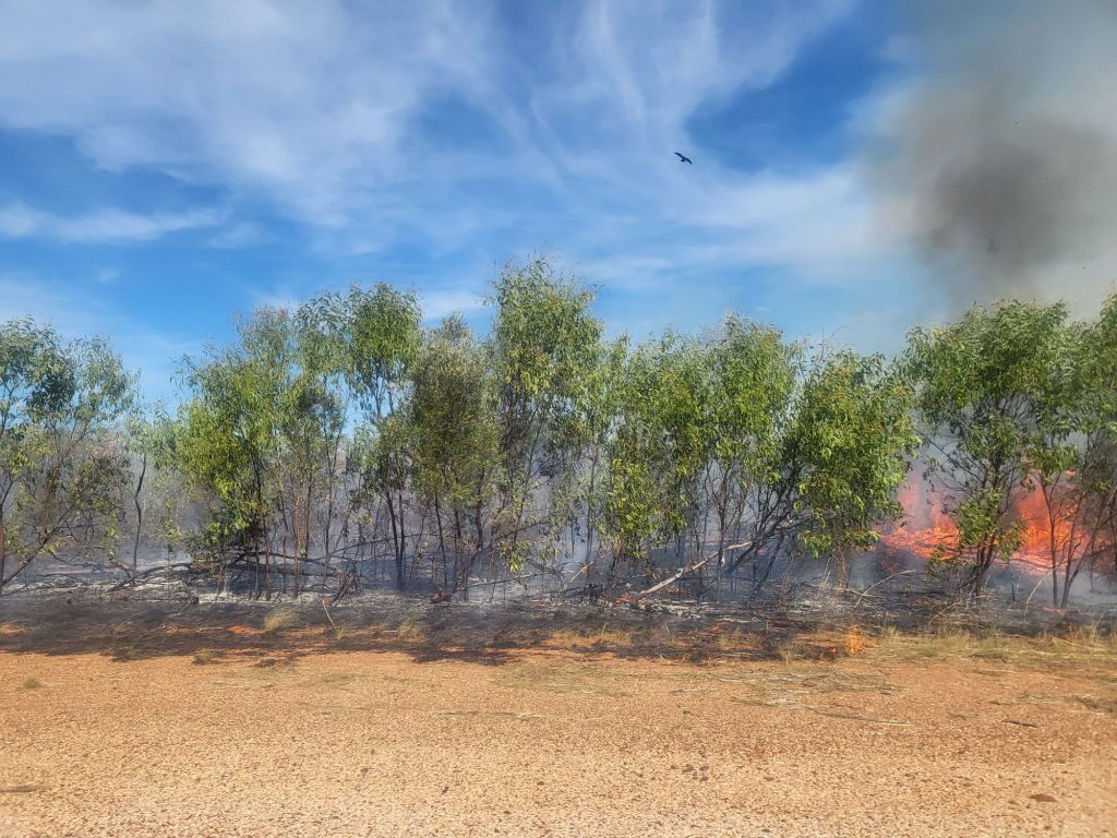 20250603_141355(0)5642215177888335254