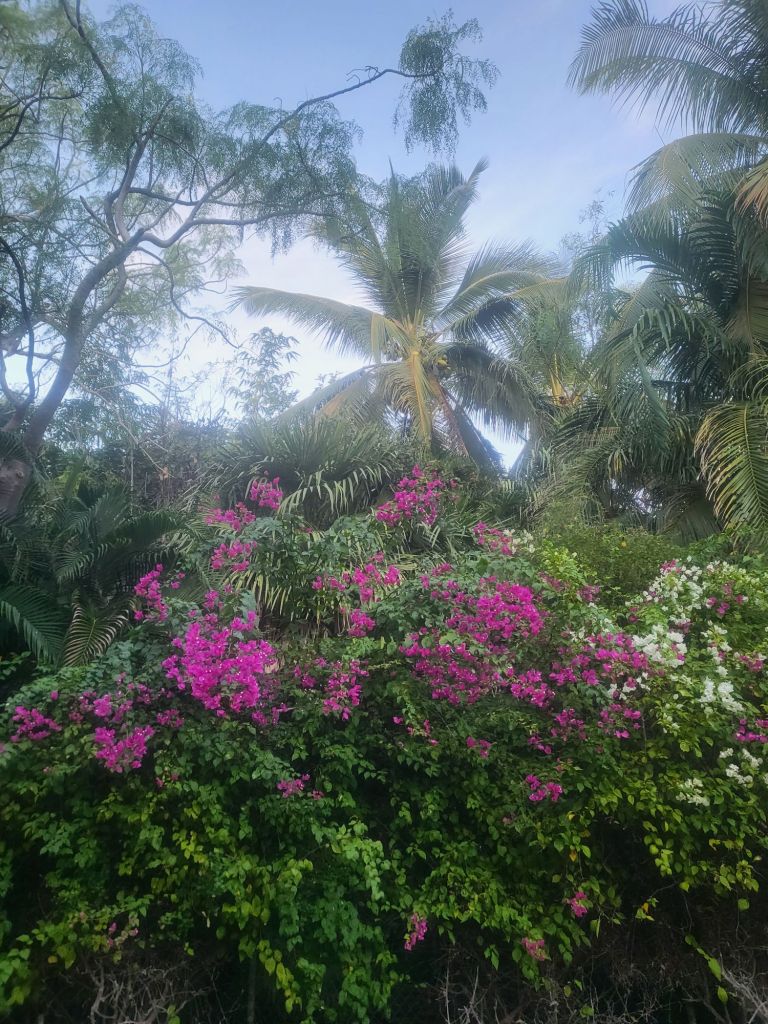 20250603_1716172277424132655482322